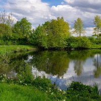 Апрельское... :: Николай Гирш