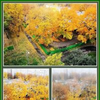 Осенние зарисовки :: Ольга Довженко