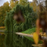 Осень в парке :: Мария Яковлева
