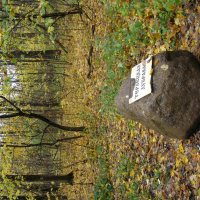 Придорожный камень :: Анна Воробьева