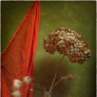 *** :: Oleg Rastorguev