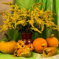 Цветы и овощи :: Людмила Павловна Крышковец