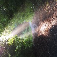 Свет :: Наталия 