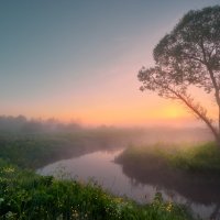 Рассвет в «саванне»... :: Roman Lunin