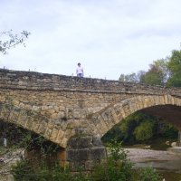 Старый мост. :: Alex 711402