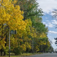 *** :: Виктор Иванович Чернюк