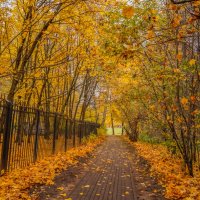 В осеннем парке... :: Владимир Жданов В осеннем парке... :: Владимир Жданов