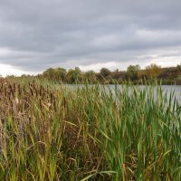 Дон осенью :: Татьяна Машошина Дон осенью :: Татьяна Машошина