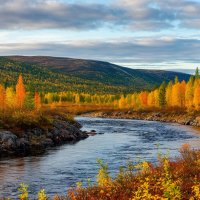 Осень :: Ольга 