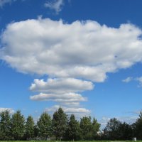 Нижний Тагил :: Елена Шаламова