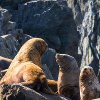 ... :: Жора Житников