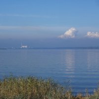 Калининградский залив :: Рита Симонова