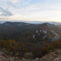 Природа Крыма :: Amazing Cosmea