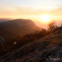 Природа Крыма :: Amazing Cosmea