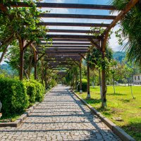 Территория Гонио-Апсаросской крепости. Грузия. :: Дина Евсеева