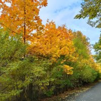 Осенняя пора... очей очарованье... :: Мария Васильева Осенняя пора... очей очарованье... :: Мария Васильева