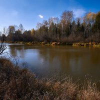 Октябрьский полдень у реки. :: Юрий кот