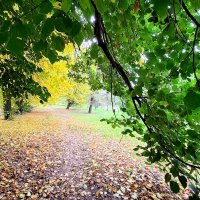 Осенний пейзаж :: Наталья Осенний пейзаж :: Наталья