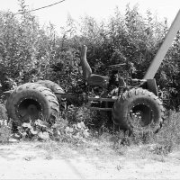 Фотография :: Денис Безногов Фотография :: Денис Безногов