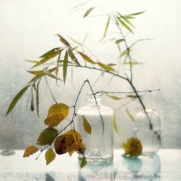 осенний этюд... :: Natali-C C