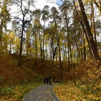 Усадьба. Осень. :: tatiana 