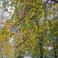 Середина осени :: Татьяна Львова