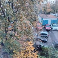 Осеннее утро :: Дмитрий Никитин