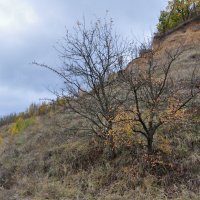 Осень на берегах Дона :: Татьяна Машошина