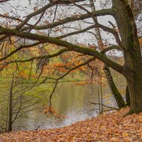 Октябрь в Царицыно... :: Владимир Жданов Октябрь в Царицыно... :: Владимир Жданов