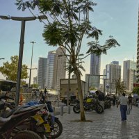 Тель Авив*,2025г :: ujgcvbif 