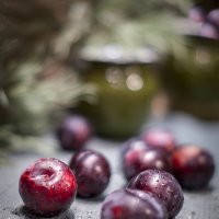 Слива :: Bosanat 