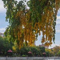 *** :: Виктор Иванович Чернюк