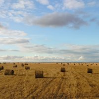 В полях :: Олег Денисов