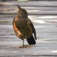 Вертикаль или взгляд, устремленный ввысь :: Лина 