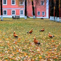 Пока дождя нет. :: Татьяна Помогалова
