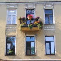 /// :: Виктор Никитенко