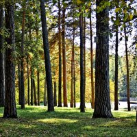 Осенний день :: Валентина *