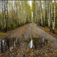 После дождя :: Aleksandr Gal После дождя :: Aleksandr Gal