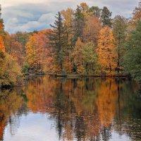 Елагин остров :: skijumper Иванов