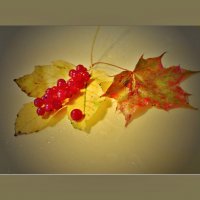 ОСЕНЬ... :: Elvira E. 