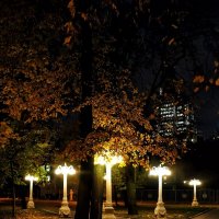 В осеннем парке. :: Михаил Малец