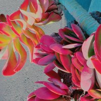 13  ОПЕН (527) :: OPEN WAYS ALL