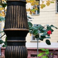 *** :: Любимова Ольга 