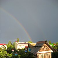 дядюшкина голубятня :: Всеволод дядюшкина голубятня :: Всеволод