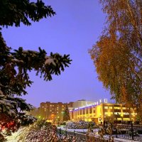 Первый снег при вечернем освещении . 4 октября 2025 год . :: Мила Бовкун Первый снег при вечернем освещении . 4 октября 2025 год . :: Мила Бовкун