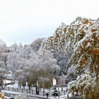 Утро после снегопада . :: Мила Бовкун Утро после снегопада . :: Мила Бовкун
