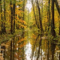 Про Питер :: Владимир Колесников Про Питер :: Владимир Колесников