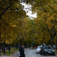 Осенние ритмы :: Елена K