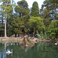 Воронцовский парк. Крым. :: Галина Воронцовский парк. Крым. :: Галина