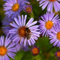 В октябре :: Юрий. Шмаков